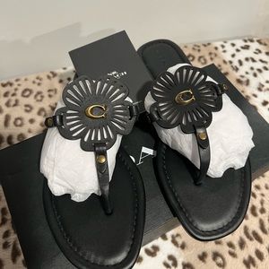 New coach, black Julia sandals